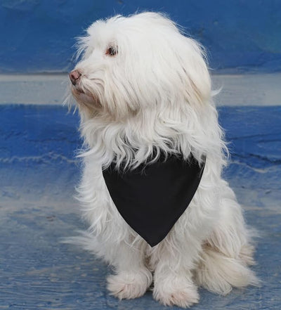Blank Dog Bandana Black Polyester for Small Dogs