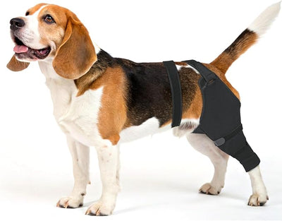 Dog Rear Leg Sleeve to Stop Licking, Hind Leg Protector After TPLO Recovery, ACL Surgery, Wounds or Skin Issues, Soft Breathable Comfortable Cover for Large Medium Small Dogs, XL,Right, Light Grey