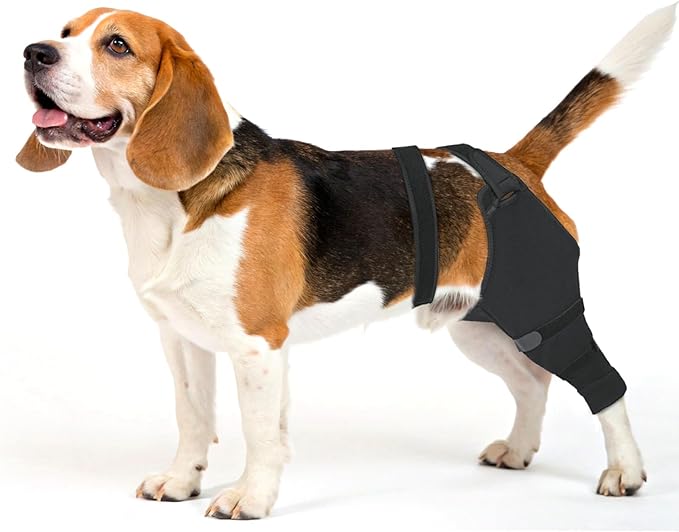 Dog Rear Leg Sleeve to Stop Licking, Hind Leg Protector After TPLO Recovery, ACL Surgery, Wounds or Skin Issues, Soft Breathable Comfortable Cover for Large Medium Small Dogs, M,Left, Black