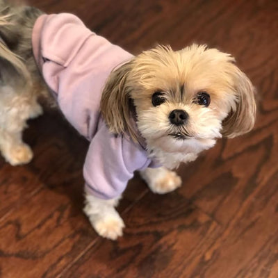 Jecikelon Soft Dog Hoodies for Small Dogs, Fleece Puppy Sweatshirt with Pockets, Warm Winter Cold Weather Coats for Pet Cat, Cute Clothes Puppy Costume (Purple, Large)