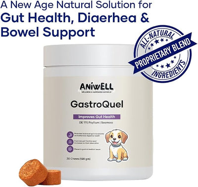 GastroQuel Dog Probiotic Chews – Gut Health, Occasional Diarrhea & Digestive Support | Probiotics for Dogs, Kaolin & Pectin | Yeast Infection Support & Anti Diarrhea for Dogs | Pack of 2