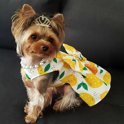 Dog Dress Bowknot Harness Leash Set for Small Girl Dogs Yellow Lemon Dog Cat Clothes Cute Puppy Outfits Pet Clothes Spring Summer Breathable Dresses(Large)