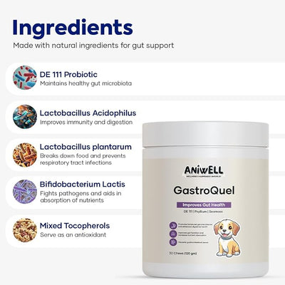 GastroQuel Dog Probiotic Chews – Gut Health, Occasional Diarrhea & Digestive Support | Probiotics for Dogs, Kaolin & Pectin | Yeast Infection Support & Anti Diarrhea for Dogs | Pack of 3