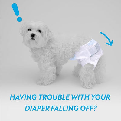 Paw Inspired Stay Put Dog Diaper Holder for Use with Calming Anxiety Vest (Sold Separately), Compatible with Disposable or Washable Dog Diapers