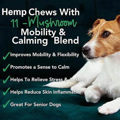 iHeartDogs Hemp Mushroom Chews - Mobility, Calming, Allergy, Lumps, Bumps, Lipomas & Immune Support - Mushroom Blend w/Turkey Tail, Lion’s Mane & Green Lipped Mussels - 60 Ct 600mg Hemp