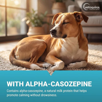 Vetoquinol Zylkene - Calming Support for Large Dogs 33–132 lb - Supports Behavior & Occasional Anxiety - Perfect for Boarding, Vet Visits & Celebrations - Non-Drowsy & Lactose-Free - 14 Capsules