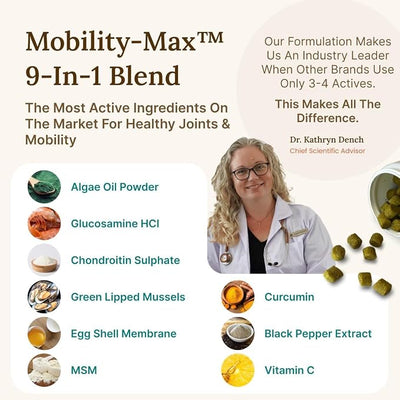 Mobility Max Dog Hip and Joint Supplement with Glucosamine, Chondroitin, MSM & Vitamin C – Hip and Joint Chews for Dogs – 9-in-1 Advance Formula – 60 Bacon Flavor Chews for Active & Senior Dogs