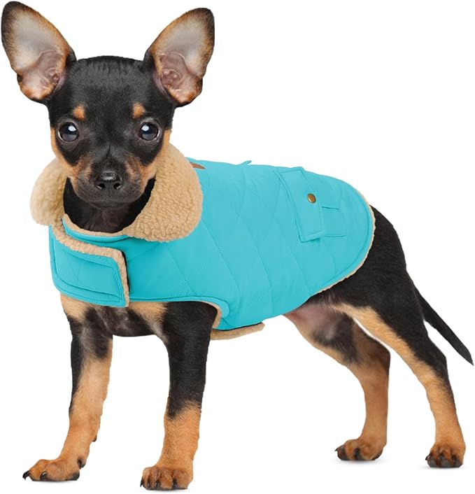 Dog Winter Coat for Small Dogs, Puppy Solid Jacket, Pet Warm Coat for Cold Weather, Windproof Pets Thickened Outfits Garments Indoor Outdoor, Blue XS