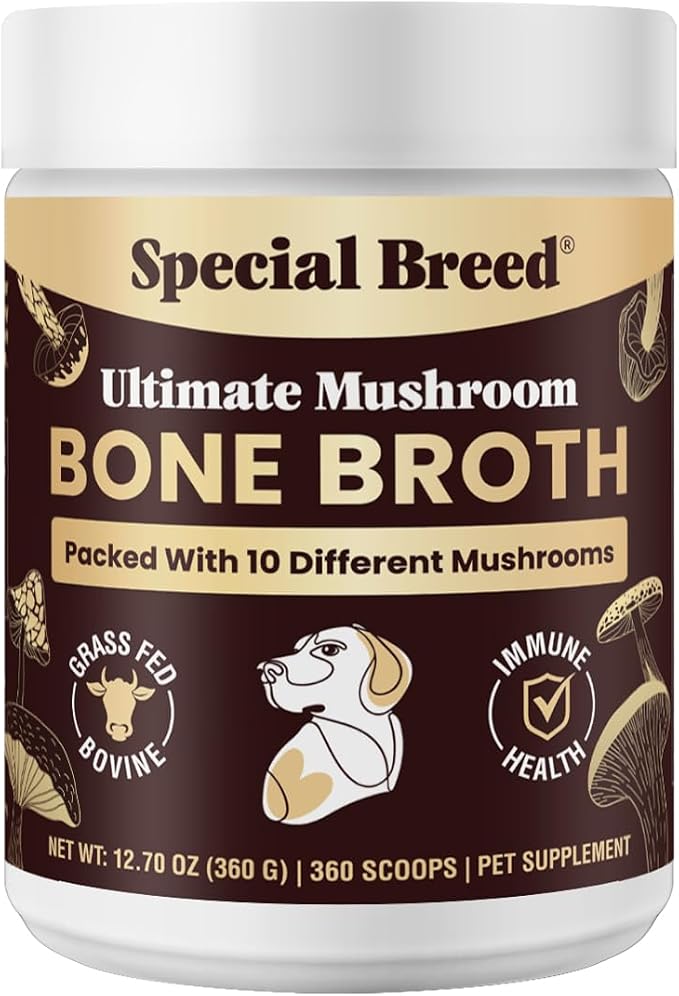 Beef Bone Broth for Dogs - High Protein Powder with Ten Organic Mushrooms & Collagen - Immune, Joint, Digestion & Cognitive Support - Tasty Dog Food Topper - Natural Hydration Booster