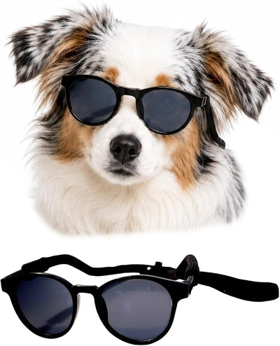 G006 Dog Pet Retro 80s Costume Sunglasses for Small Breed (Panto Black)