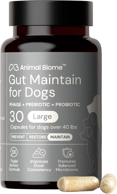 Animal Biome Probiotics for Dogs with S Boulardii, Gut Maintain (30 Capsules) – Triple-Action Large Dog Probiotics, Prebiotics & Phage Supplements for Gut Health, Firmer Stool & Diarrhea Support