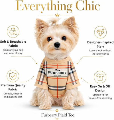 Luxury Designer Dog T Shirt – Trendy Puppy Clothes for Small Dogs, Fashion Pet Tee for French Bulldogs & Chihuahuas, Everything Chic Dog Apparel (FurberryTee, Small)