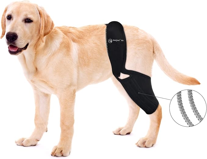 Knee Brace for Dogs ACL with Side Stabilizers,Knee Cap Dislocation, Arthritis - Keeps The Joint Warm and Stable - Extra Support - Reduces Pain and Inflammation - 7Sizes（L）