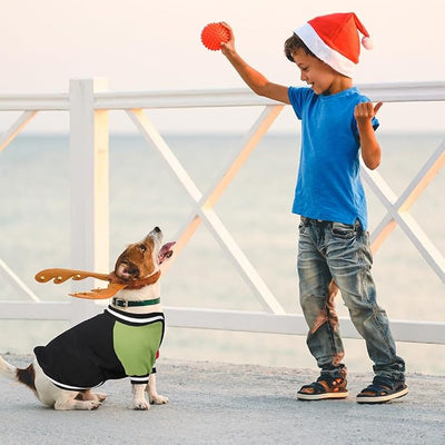 Cute Dog Sweater - Stretchy Dog Pullover Sweatshirt,Soft and Warm Winter Clothes for Boy & Girl Dogs,Suitable for Puppies & Adult Dogs (Black+Red+Green, Small)