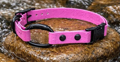 eCollar Replacement Strap Bungee Style - Waterproof Collar Compatible with Garmin, Dogtra, SportDOG, Educator (Red 3/4")