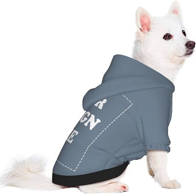 Personalized Chihuahua Dog Hoodie, Custom Pet Warm Sweatshirt Costume with Name Number Photo, Customize ID Clothes for Pupppy Kitten Dogs Cats, SlateGray, S