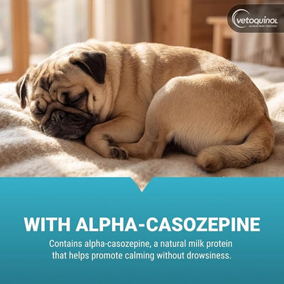 Vetoquinol Zylkene - Calming Oral Support for Medium Dogs & Large Cats - Supports Behavior & Occasional Anxiety - for Boarding, Vet Visits & Celebrations - Non-Drowsy & Lactose-Free - 120 Capsules