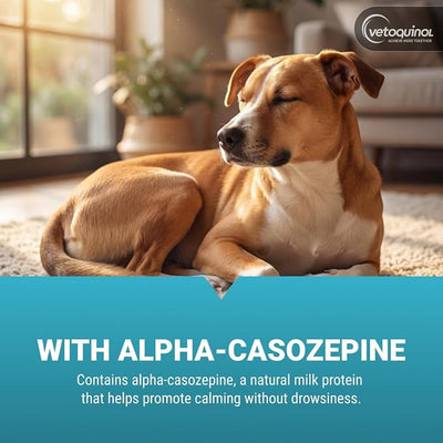 Vetoquinol Zylkene - Calming Support for Large Dogs 33–132 lb - Supports Behavior & Occasional Anxiety - Perfect for Boarding, Vet Visits & Celebrations - Non-Drowsy & Lactose-Free - 120 Capsules