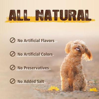 Gootoe Soft Dog Treats, Chicken Jerky - Dog Training Treats; High-Protein, Gluten-Free, Soft Jerky for Dogs, Hypoallergenic, Grain-Free, Chicken Breast Strips, 1 lb (Pack of 3)