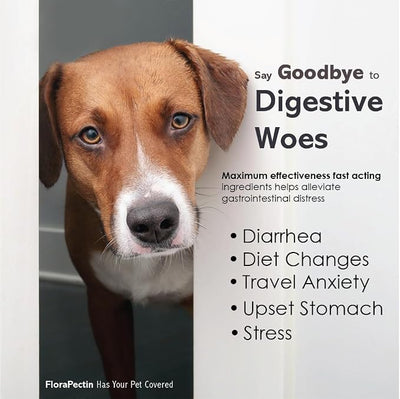 Oral Paste for Dogs & Cats (2 Pack, 15 CC - Tasty Chicken)