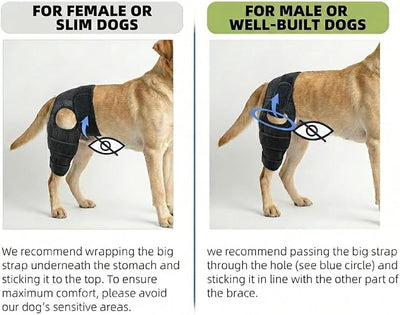 Dog Knee Brace for Hind Leg Support with Extended Straps Adjustable Canine Joint Wrap for Large Dogs Post Surgery Recovery Hindquarters Stabilization Guard for Daily Walks Running(Size XL) | Extended dual thigh straps for stay-put stability paired with...