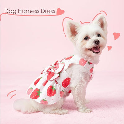 Dog Dress Harness Dresses Leash Set for Small Dogs Cute Girl Dog Clothes with Bowknot Puppy Outfits for Shih Tzu Yorkies Chihuahua