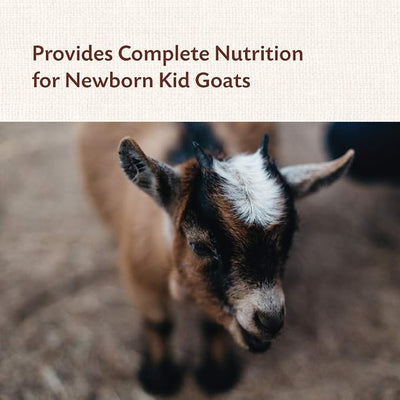 Manna Pro Goat Kid Colostrum Supplement, Feed for First 24 Hours of Life, Helps Promote Healthy Development, Fortified with Vitamins & Minerals, 8 Ounces