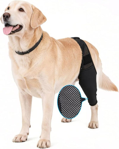 Dog Rear Leg Sleeve to Prevent Licking - Reusable Dog Surgery Recovery Suit with Adjustable Velcro, Breathable Comfortable Recovery Sleeve for Hot Spots & Wounds, Cone Alternative (L Size)