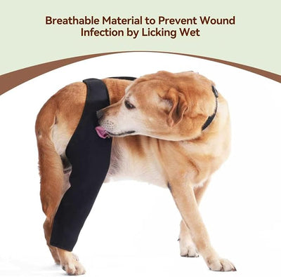 Dog Recovery Sleeve for Back Leg, Breathable Material, Dog Leg Sleeve to Stop Licking and Biting, Firm and Secure, Adjustable Size, Comfortable Alternative to Cone Collars (Small, Single Leg)