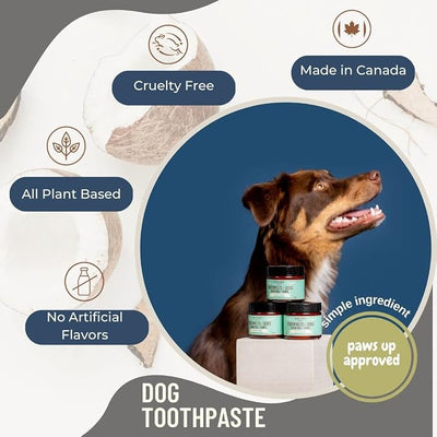 Peppermint Natural Dog Toothpaste-Simple Ingredient with Human-Grade Coconut Oil for Dogs-Fresh Dog Bad Breath and Keep Teeth Clean, Plaque Control and Reduce Tartar