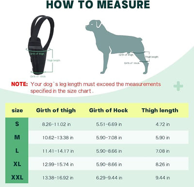 Dog Knee Brace for Torn ACL Hind Leg – Support Dog Leg Brace for Back Leg with 2 Stabilizers, Adjustable Hip Support to Reduces Pain Luxating Patella, Ligament Injuries, CCL (Right Leg, M)