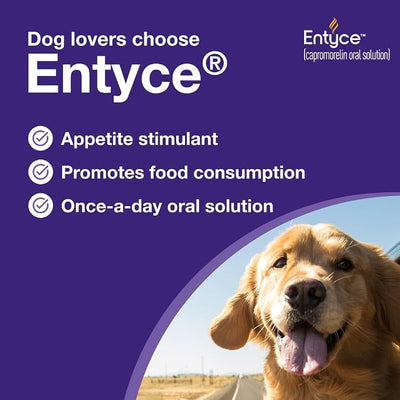 Entyce Dog Appetite Stimulant | Oral Solution for Dogs | 30mg/ml - 10 ml