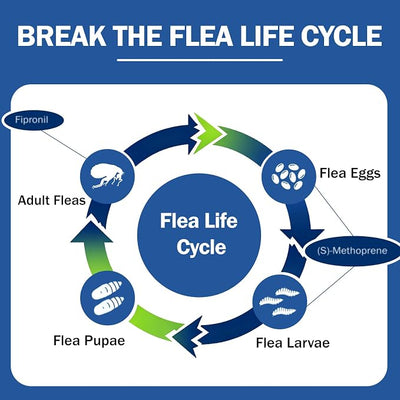 Flea and Tick Prevention for Dogs, Flea & Tick Control, Flea Drops for Small and Medium Dog (5-44 Ibs), Support for Skin & Coat Health, Fast Acting, for Dogs and Puppies 8 Weeks and Older Supplement