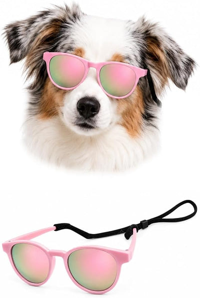 G006 Dog Pet Retro 80s Costume Sunglasses for Small Breed (Panto Pink-Pink Mirror)