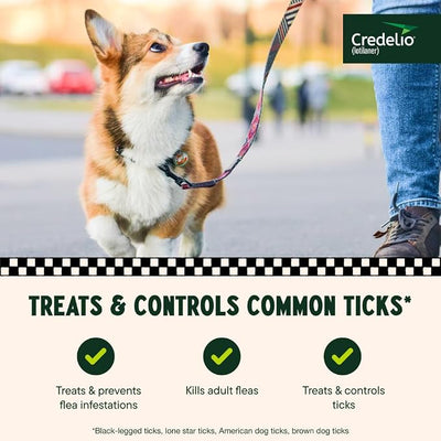 Credelio (lotilaner) Tick & Flea Treatment + Flea Infestation Protection for Dogs 12.1-25.0 lbs. (6 Tablets)