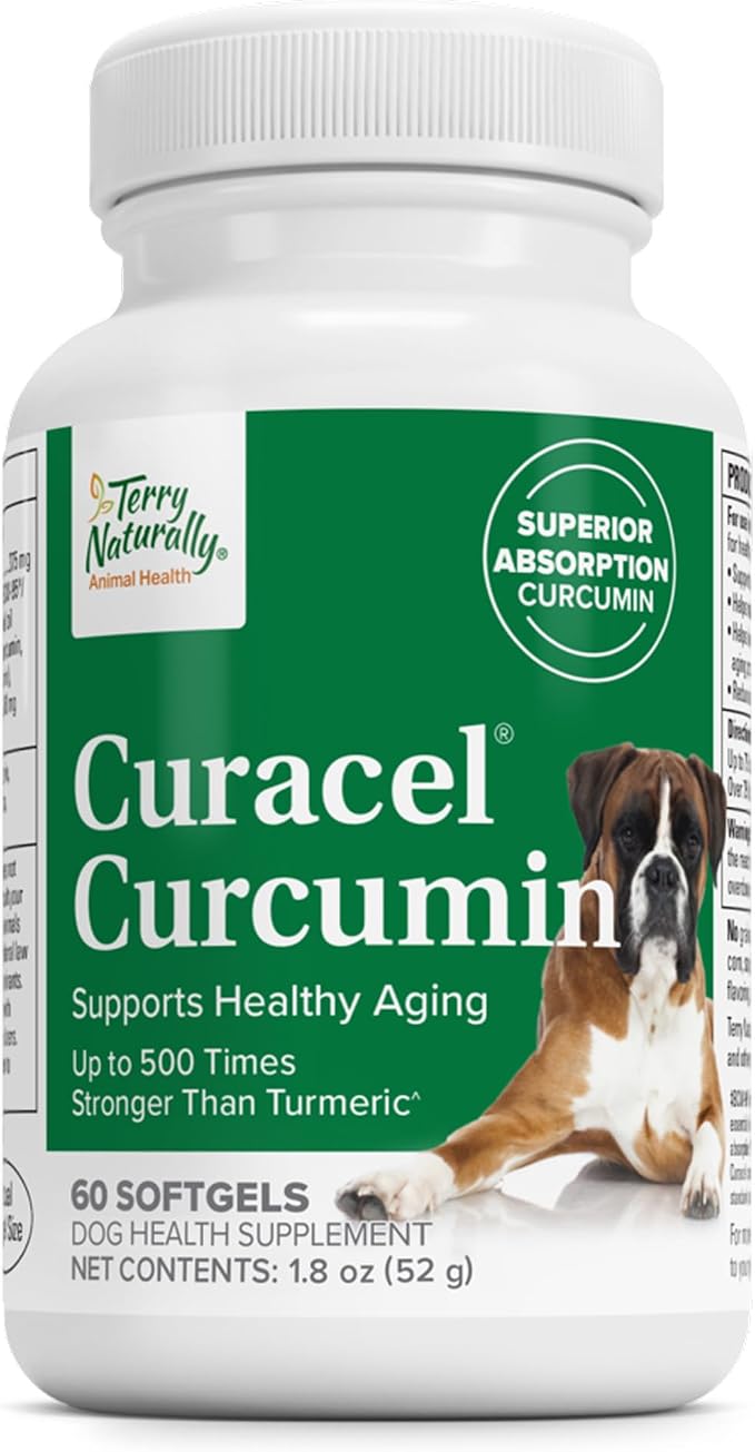 Terry Naturally Curacel Curcumin - Health Supplement for Dogs - Pet Curcumin Dog Supplies - Cellular Health Supplement with Antioxidants - 60 Softgels