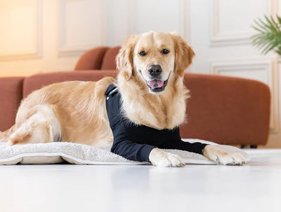 Suitical Recovery Double Sleeve for Dogs - Front Leg Protection for Post-Surgery, Skin Issues, Hot Spots - Adjustable Double Dog Leg Sleeve to Prevent Licking - S Black - Chest 17.7-24 in