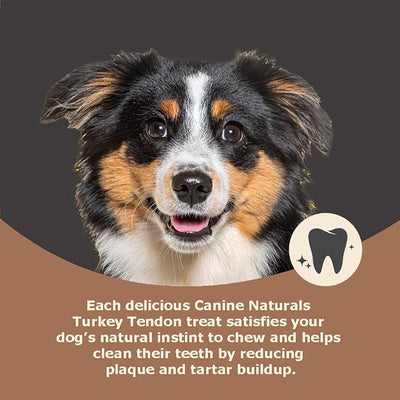 Canine Naturals Turkey Tendon Strips for Dogs - Rawhide-Free, Natural Dog Chews - USA-Sourced, Slow-Roasted, Single Protein for Sensitive Stomachs & Chicken Allergies -, 3 oz Bag