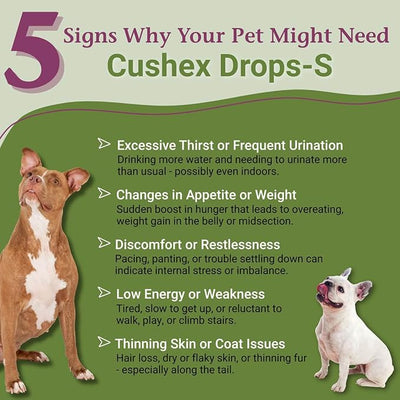 PetAlive Cushex Drops-S, Adrenal Gland Balance Herbal Pet Supplement, 2fl oz., 59ML