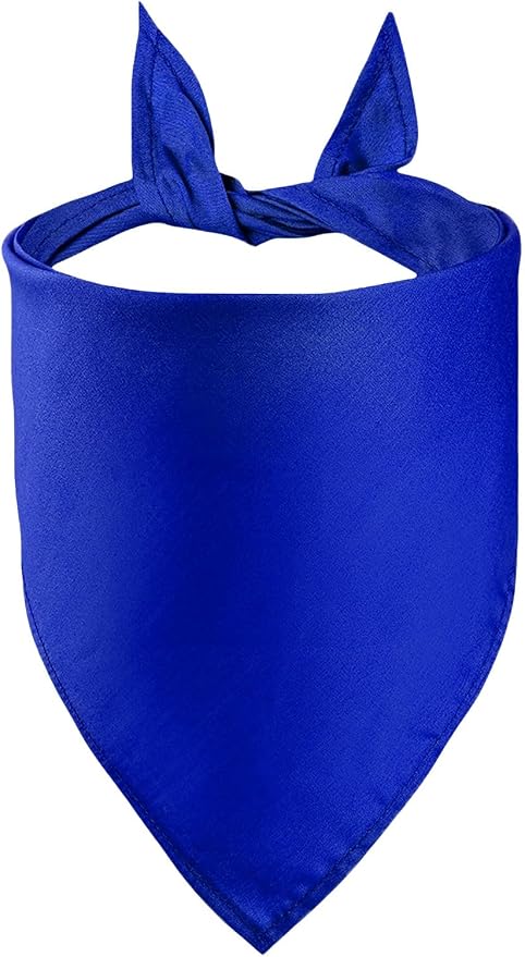 Petitebella Single Color Pet Bandana (Royal Blue, Large)