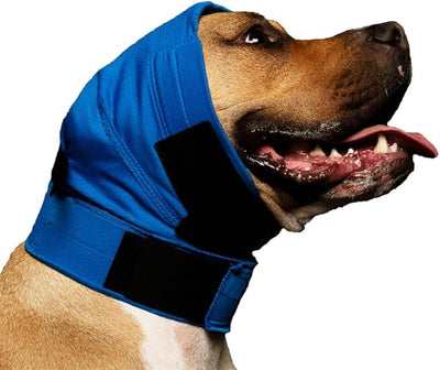 No Flap Ear Wrap (Blue Pinpoint Mesh, Small)