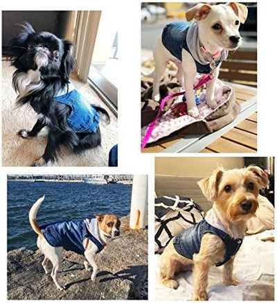 SILD Pet Clothes Dog Jeans Jacket Cool Blue Denim Coat Small Medium Dogs Lapel Vests Classic Hoodies Puppy Blue Vintage Washed Clothes (Grey,L)