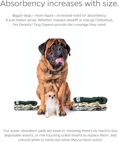 Pet Parents® Washable Dog Diapers (3pack) + Extendrs® of Durable Doggie Diapers, Premium Dog Diapers Female (Medium, Spruce)