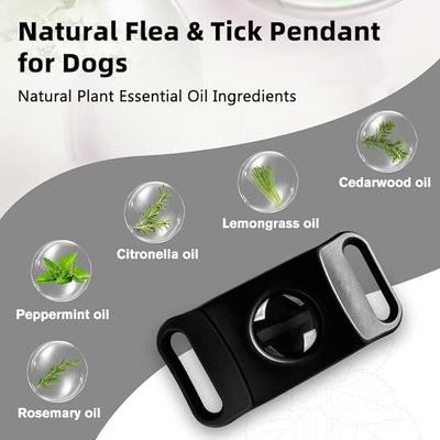 Natural Flea and Tick Prevention Pendant for Dogs Flea and Tick Collar, Waterproof Flea and Tick Repellent Dog Tag Safe for All Breeds & Sizes with 2 Silicone Buckles & 4 Refills, COLLAR NOT INCLUDED