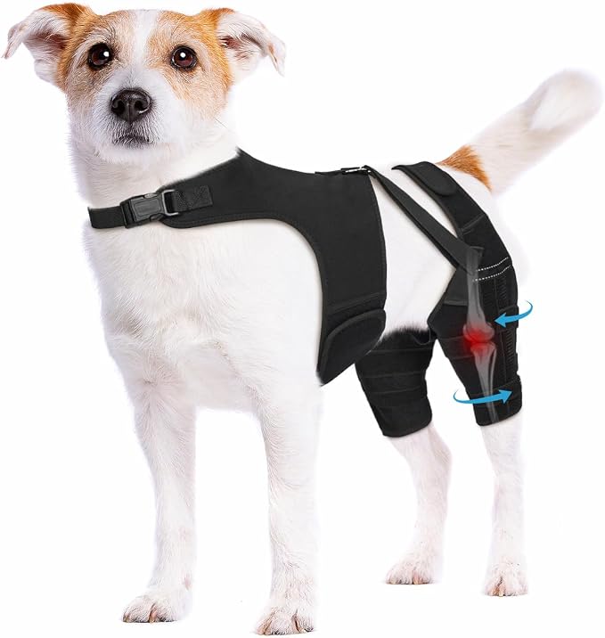 Dog Knee Brace for Torn ACL Hind Leg– Dog Leg Brace with Metal Stabilizers for Dogs with Torn ACL, Luxating Patella, Ligament Injuries & Hip Dysplasia, Limping or Osteoarthritis Recovery, S
