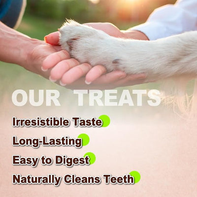 A Freschi srl Turkey Tendons for Dogs, Long-Lasting, Hypoallergenic Rawhide Alternative, Human Grade, Healthy Puppy Chews, Natural Dog Treats for Large Dogs, Bone (L), 1 Count Pack