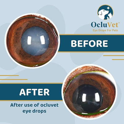 Eye Drops for Pets | Clinically Studied Antioxidants for Pets | Made in The USA | Includes 2% N-Acetyl-L-Carnosine (NAC) | 16mL - 2 Pack