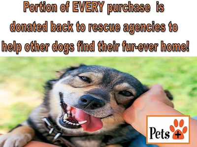Pets Plus Venison Sausage Dog Treats 5-Pack – All-Natural Venison Dog Chews, High Protein Grain Free Treats for Dogs, Long Lasting Snack Sticks for Medium to Aggressive Chewers