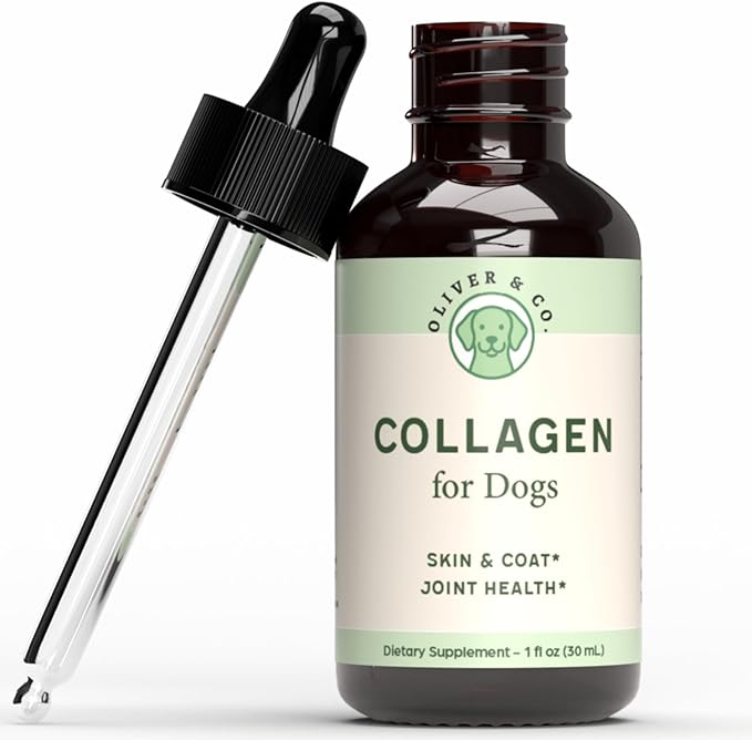 Collagen for Dogs - Dog Collagen - Supports Joint Health, Skin & Coat Health, & Much More - May Help Reduce Redness & Itching - Itch Relief for Dogs - Dog Skin and Coat Supplement - 1 fl oz