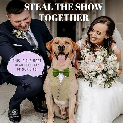 AVERYDAY Dog Tuxedo for Wedding Outfit, Dog Suit and Tie Costumes for Birthday, Halloween, Cosplay, Christmas Party, Pet Formal Wear with Bowtie, Tux for Medium Large Dogs, Bulldog, Labrador, Husky